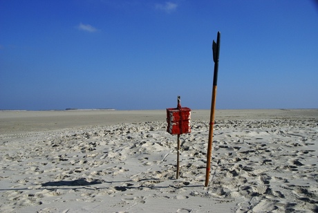 sahara van Vlieland