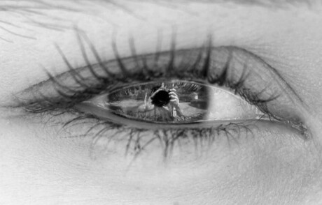 Dans les yeux d'Elena