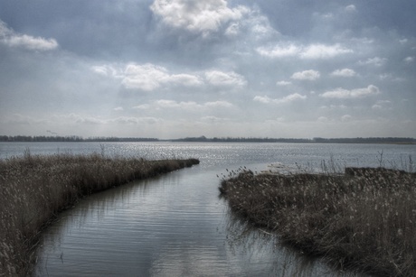 Mooi Biesbosch.