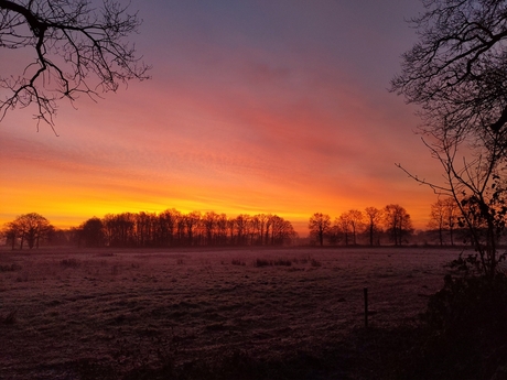 Zonsopgang in de winter