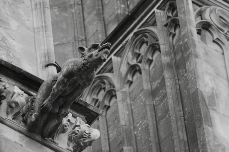 Utrecht Domkerk detail