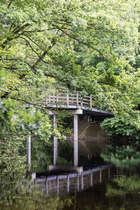 Wandelbos