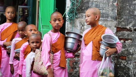 Meisjes monniken in Myanmar.