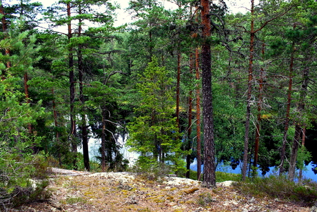 Tivedens National Park