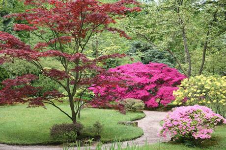 Japanse Tuin