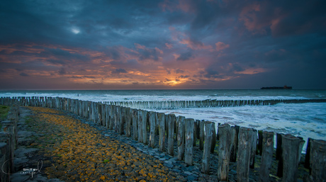 Breskens coastline