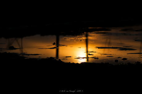Reflective Sunset