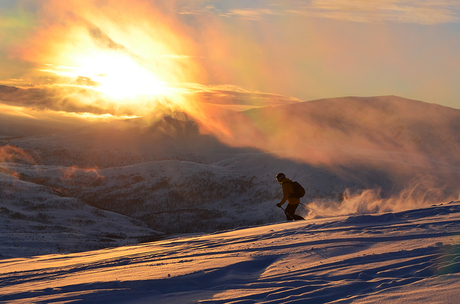 Sundown Skier