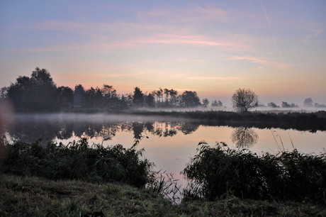 Ochtend dauw