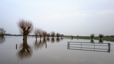 Hoogwater!