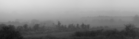 Landschap in de mist
