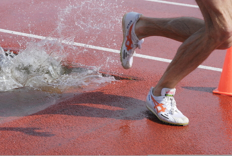 stap uit de waterbak