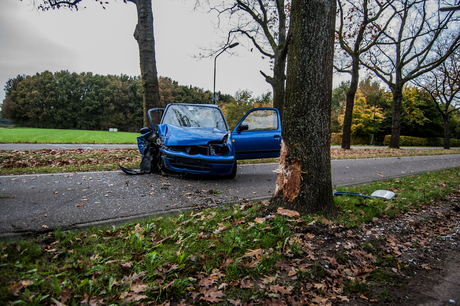 Auto botst tegen boom op de Muggenberg in Heeze