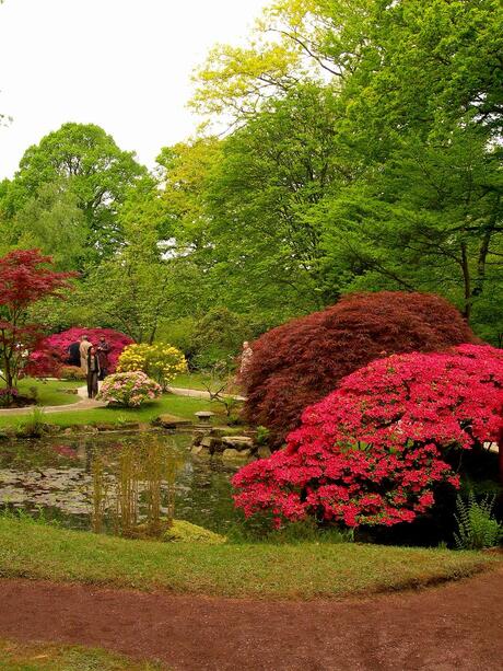 Japanse Tuin