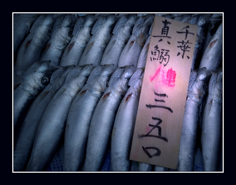 Japanse vismarkt.