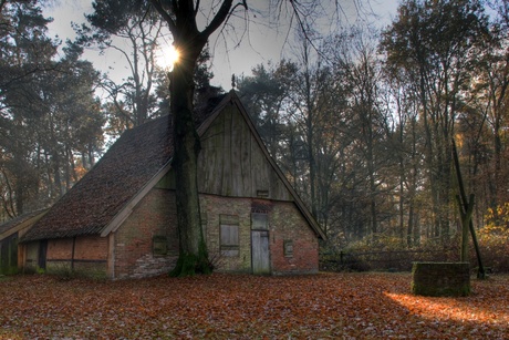 Herfst in Twente, Buurseveen