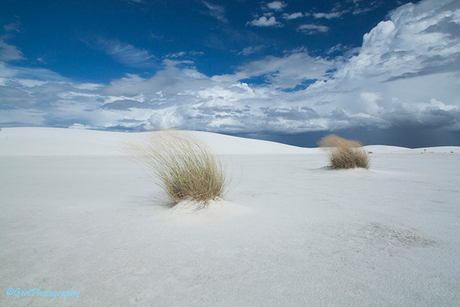White Sands, New Mexico VS