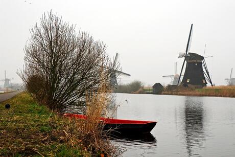 Molens van Kinderdijk in de winter