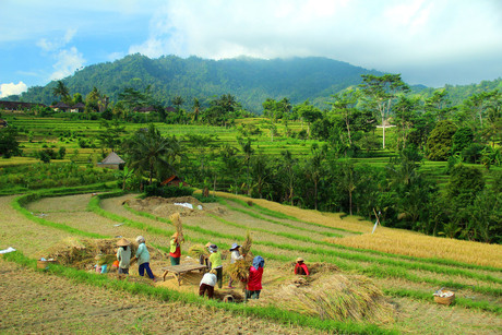 Bali in 1 foto