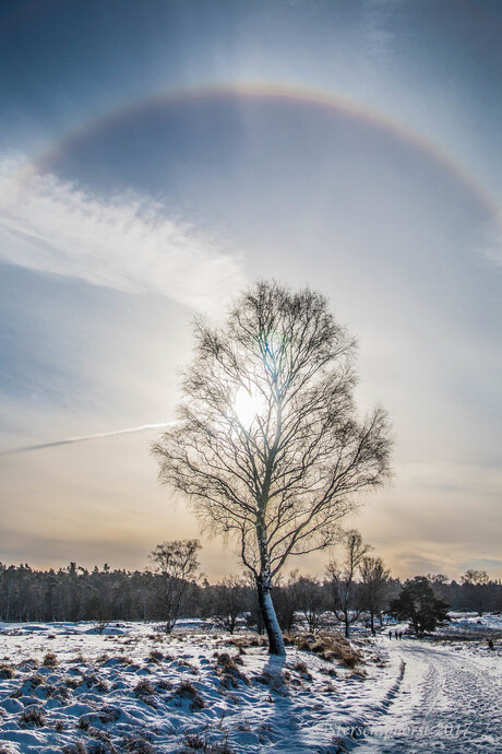 Halo om de zon