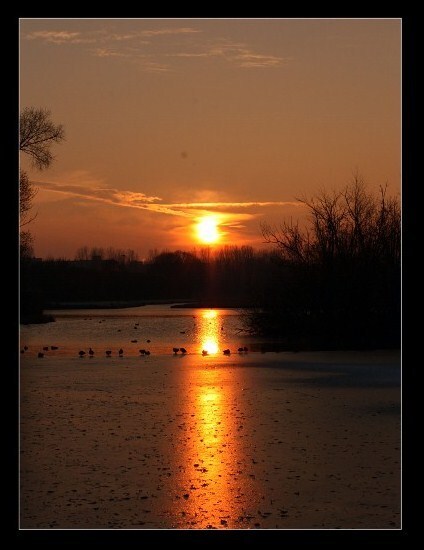 +++ - +++ - foto door marjen op 07-03-2011 - deze foto bevat: zon