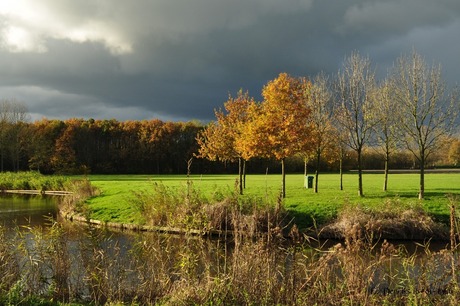 Herfst in Spaarnwoude I