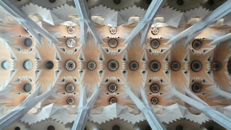 Plafond van Sagrada Família