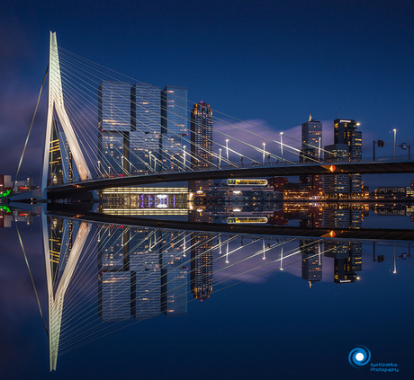 Rotterdam reflections