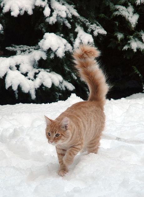 Lekker in de sneeuw!!