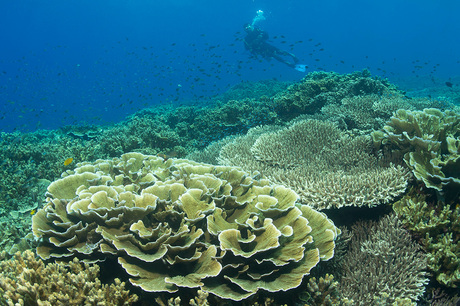 Pescador Island