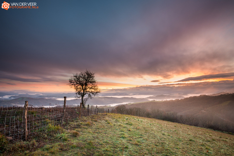 Aveyron