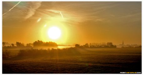 Mist in Dieren