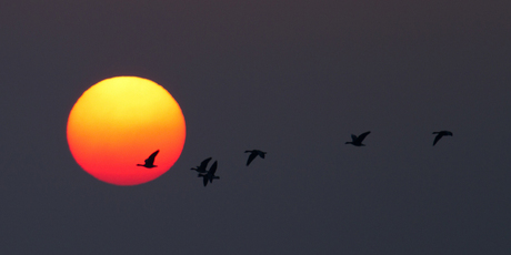 De zon tegemoet