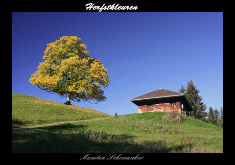 Herfstkleuren