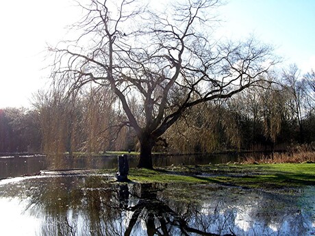 SCHIEDAM BEATRIXPARK 24-02-2016 022