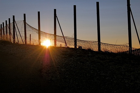 Hekwerk bij zonsondergang