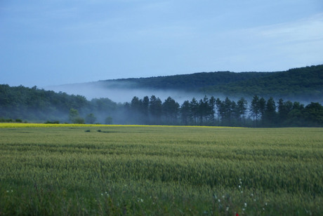 Mist in Hongarije