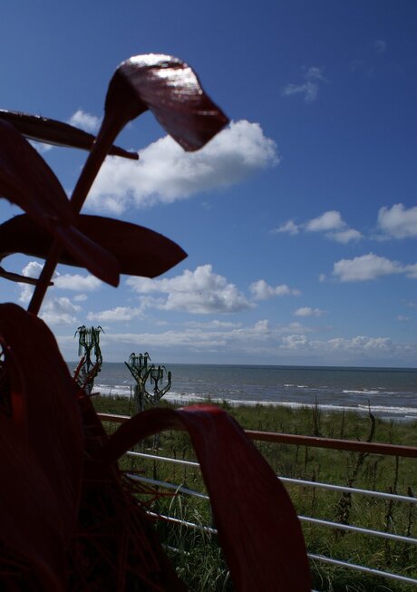 Kunst aan zee 2