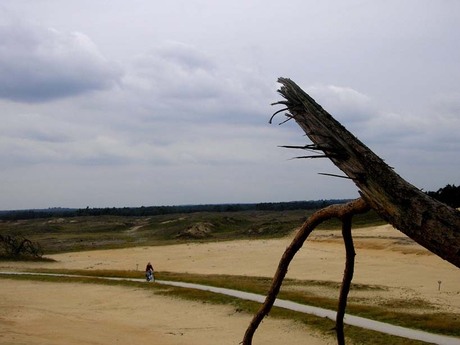 Hoe sterk is de eenzame fietser