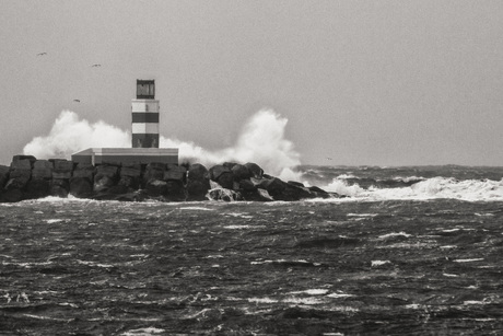 Ijmuiden zuid pier