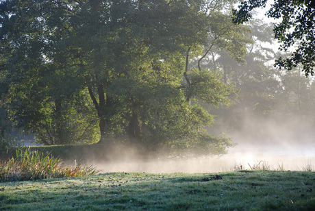 Misty morning fog