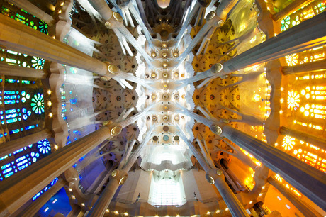 Fisheye perspective La Sagrada Familia
