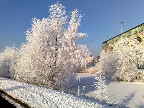 Nac Stadion in de winter