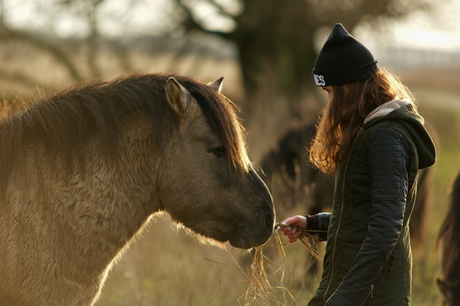 mens en paard