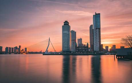 Rotterdam Sunrise