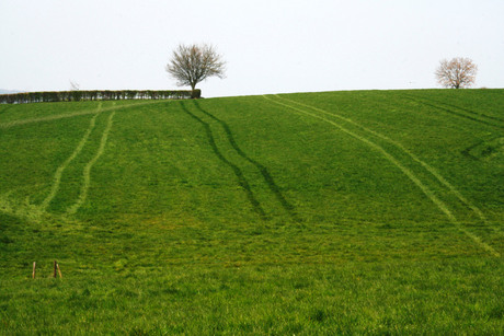 Streepjeslandschap 1