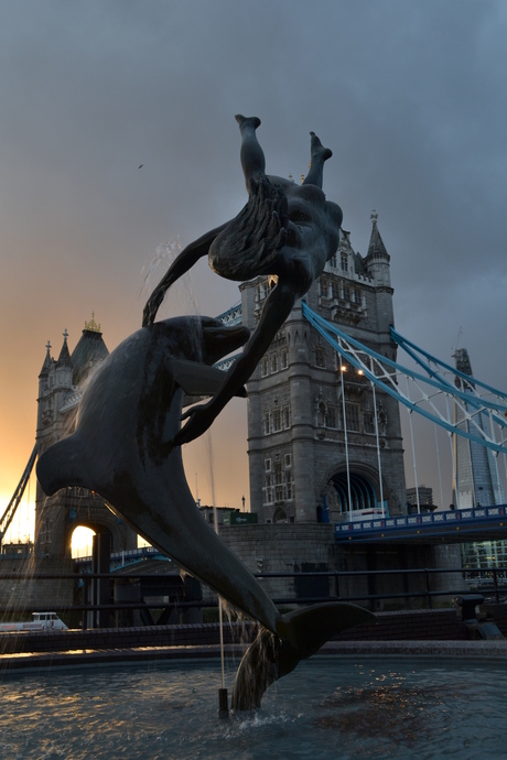 Dolfijn in Londen