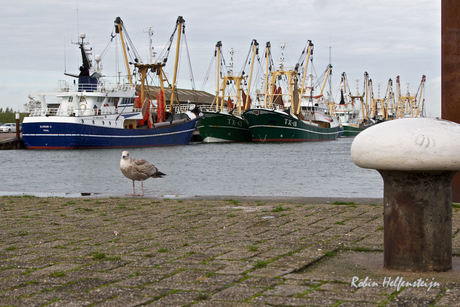 Texel