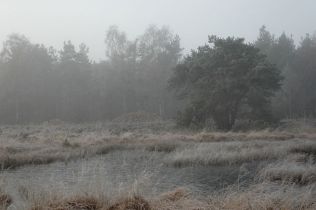 In een ijle winterzon ligt dit landschap er verlaten bij