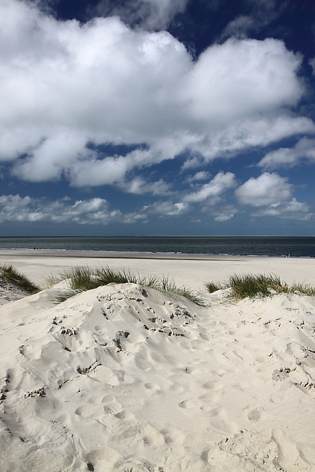 texel